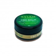 XYLEM CBD Balm Full Spectrum 1000MG 10%