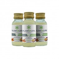 24 x Plant Of Life 25mg CBD Immunity Booster 60ml